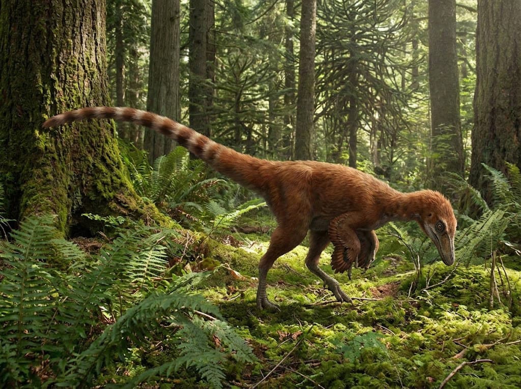 Sinosauropteryx